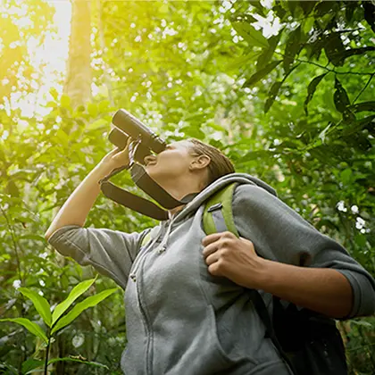 A woman in a forest looks up and drinks from a water bottle. She wears a gray hoodie and carries a backpack, sunlight filtering through the trees above, enhancing her travel experience.