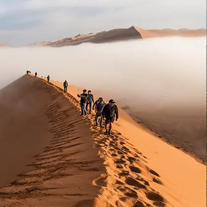 A group of hikers ascends a narrow sand dune ridge above a dense layer of fog at sunrise, casting long shadows. The scene depicts a serene yet adventurous ambiance in an African safari landscape.